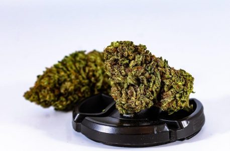how to make marijuana edibles pdf