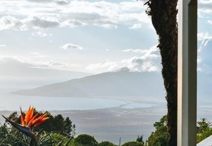 state of hawaii condo guide