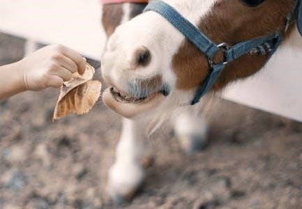 premier pet wireless fence manual