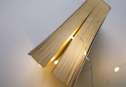 a wrinkle in time book pdf